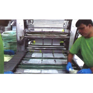 Automatic Sheet Folder - Rice Noodle (Chee Cheong Fun) Series
