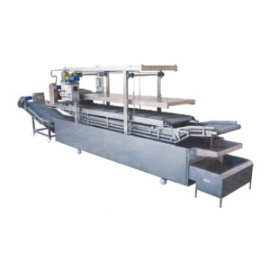 Fish / Meat Ball Fryer Processing Machine