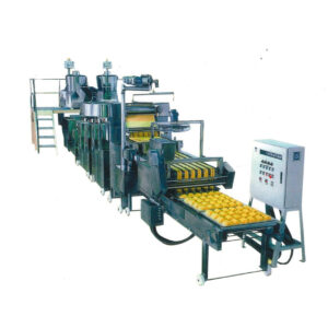 Hong Kong Style Dry Noodle Former Production Line Machine